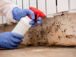 Best Mold Odor Removal Services in Moa, UT